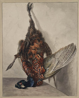 W 039
<br/>
Dode fazant
<br/>
<em>Hendriks, Wybrand (1744-1831)</em>